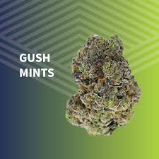 Photograph of product: Gush Mints Whole Flower - 7g