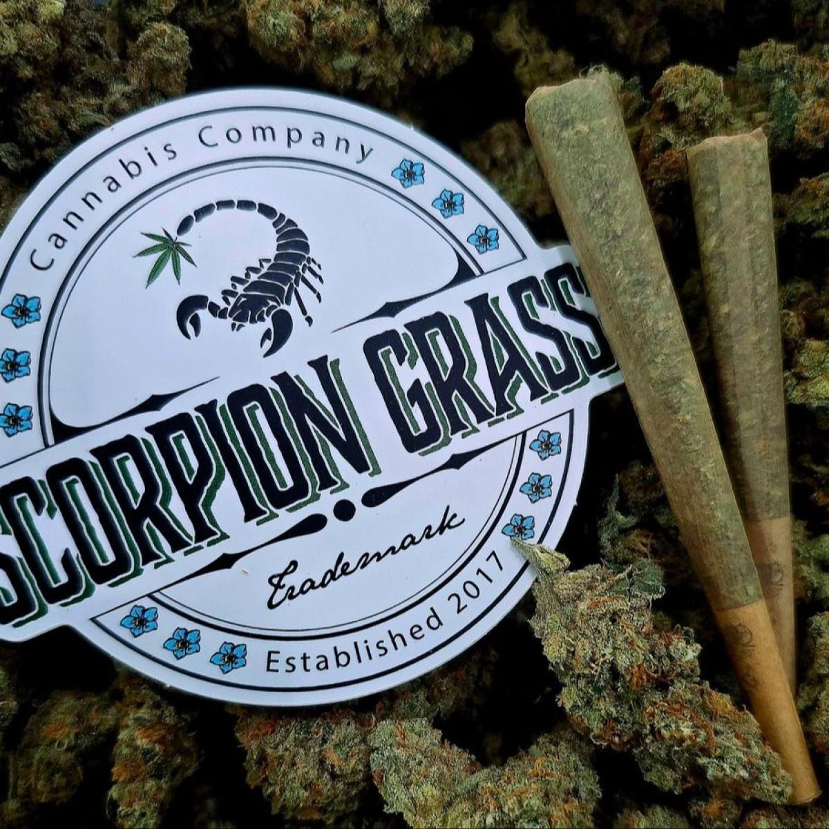 Photograph of product: Thug Life 0.5g Pre-Roll