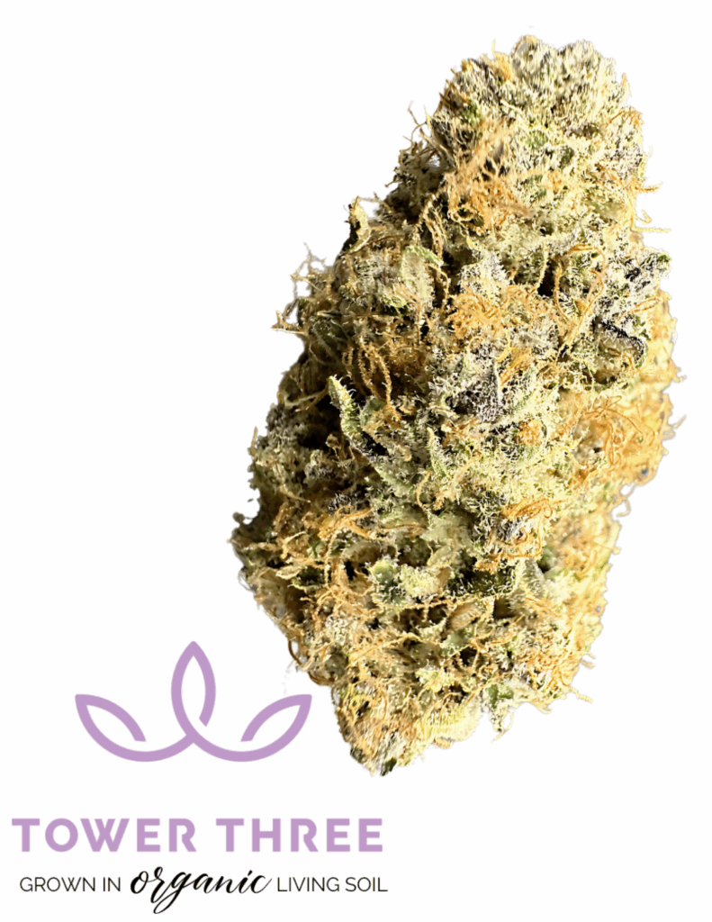 Photograph of product: Raspberry Mango TK | Flower | 3.5g | by Tower Three