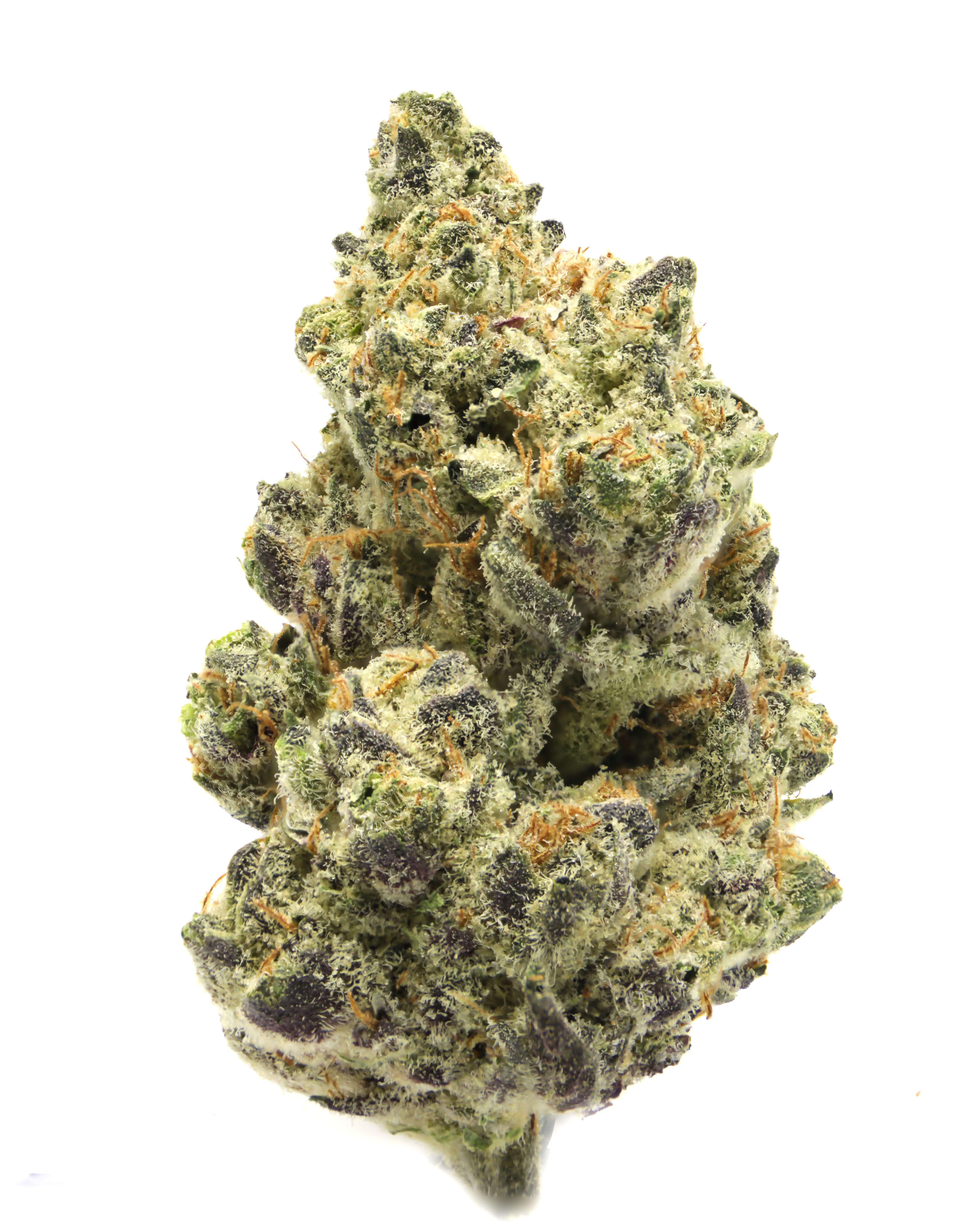Photograph of product: Black DOG (Oui'd) - 0.5g Preroll