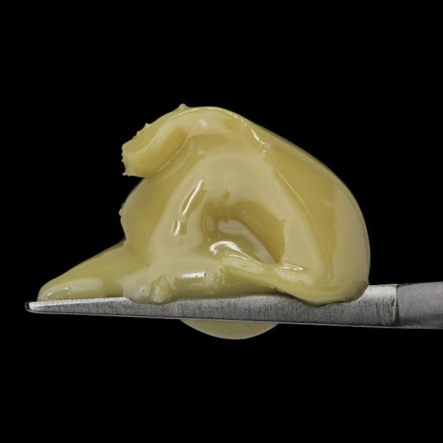 Photograph of product: Rainbow Beltz x Gelato 41 | 1g Cold Cure Live Rosin Live Rosin - 