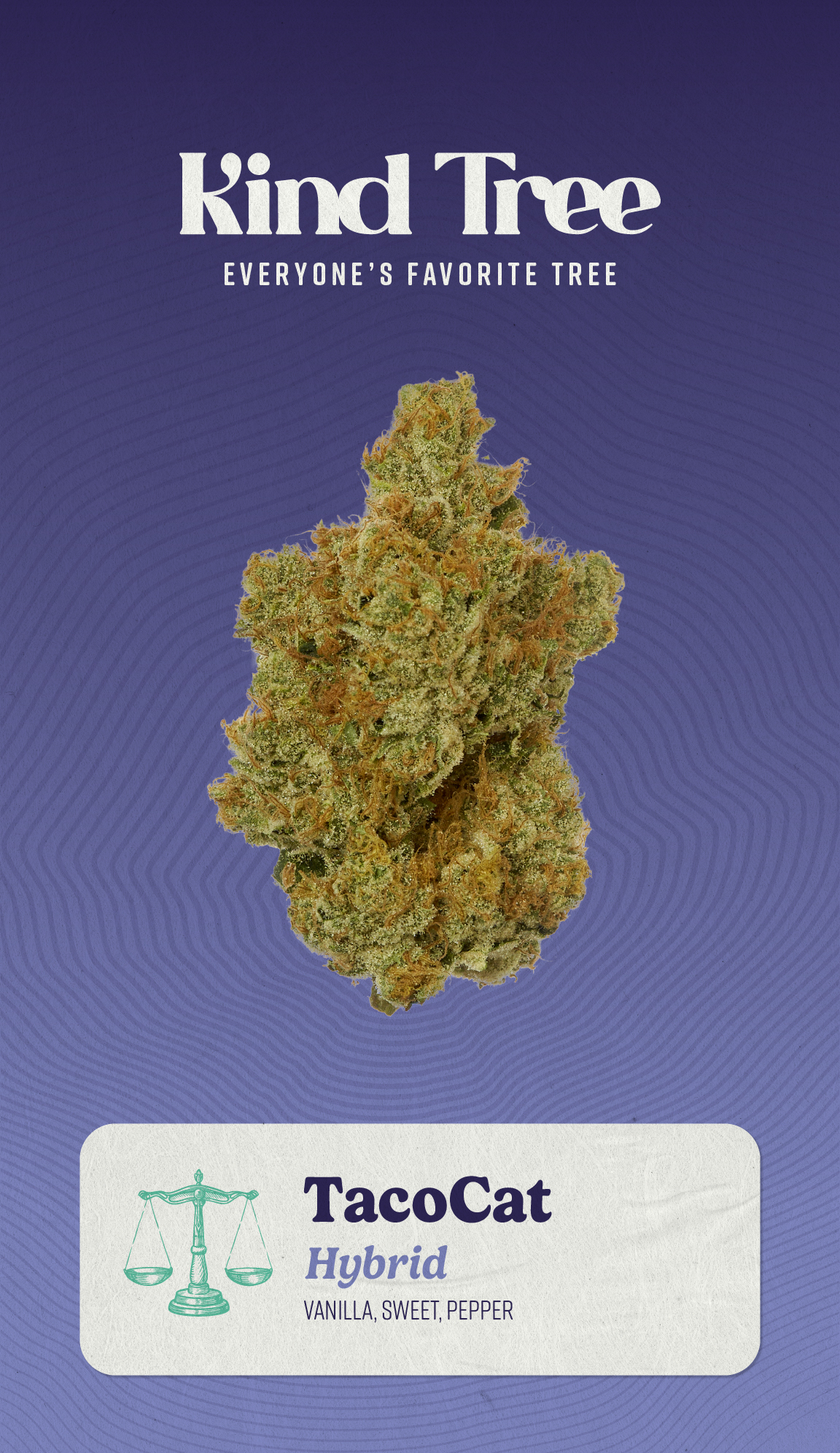 Photograph of product: Kind Tree Tacocat Flower (REC) - 3.5g