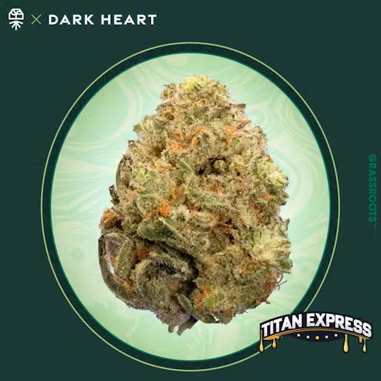 Photograph of product: Grassroots | Titan Express | Oui'd | Flower | 3.5g