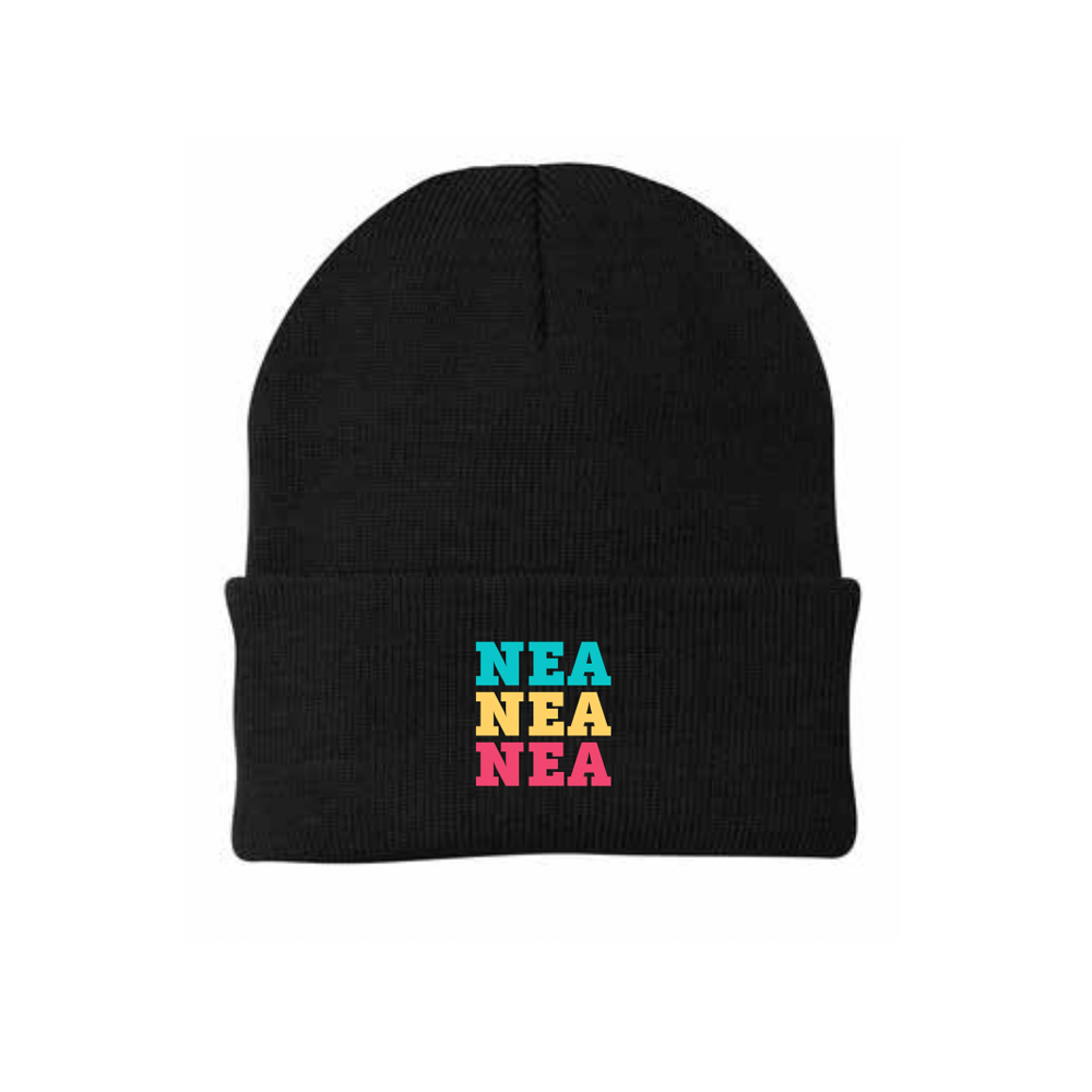 Photograph of product: NEA Black Multi Color Beanie