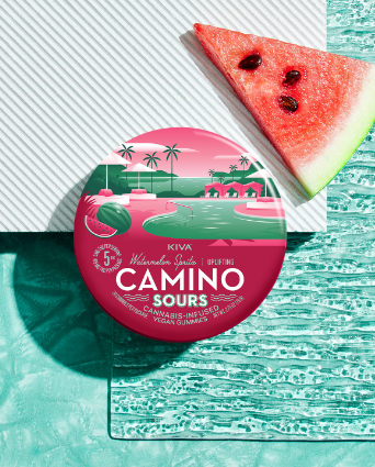 Photograph of product: Edible* - Camino - Sour Watermelon Spritz (S) - 100mg (10pk)