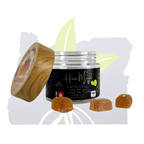 Photograph of product: Hive Mind-(R)Super Sour BB Lime