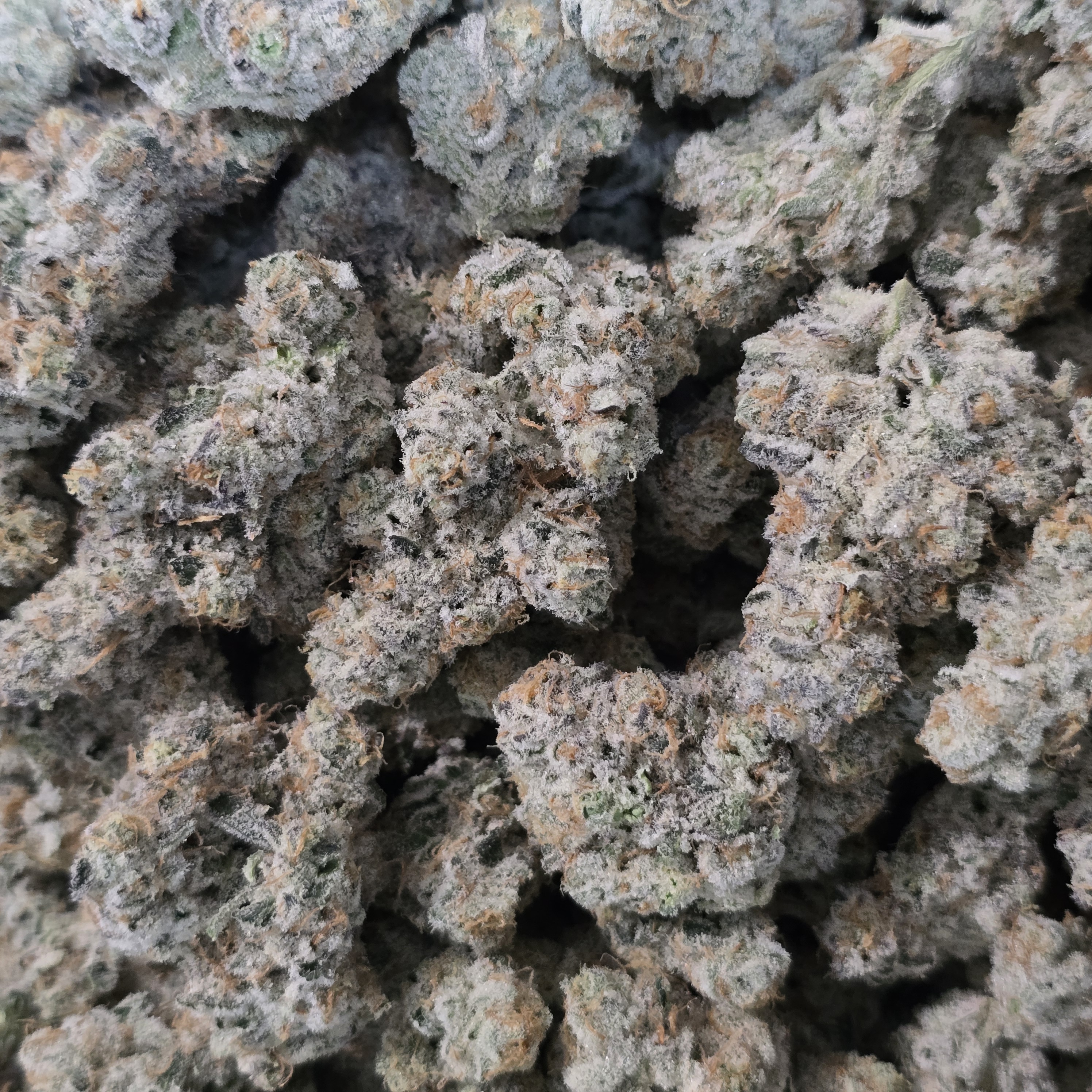 Photograph of product: Cap Junky - 1g