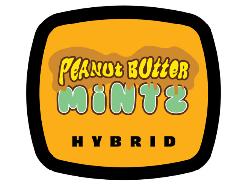 Photograph of product: 93 BOYZ PEANUT BUTTER MINTZ FLOWER 3.5G