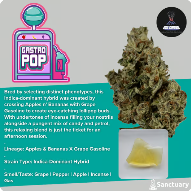 Photograph of product: Gastro Pop Shatter | 0.5g - Sanctuary Medicinals