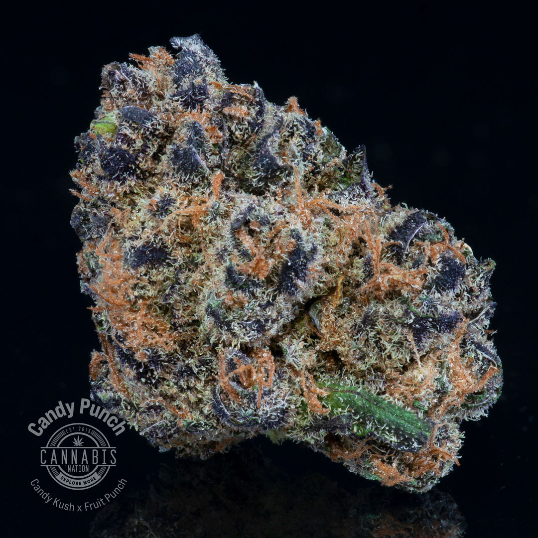 Photograph of product: RED | Candy Punch - 14g