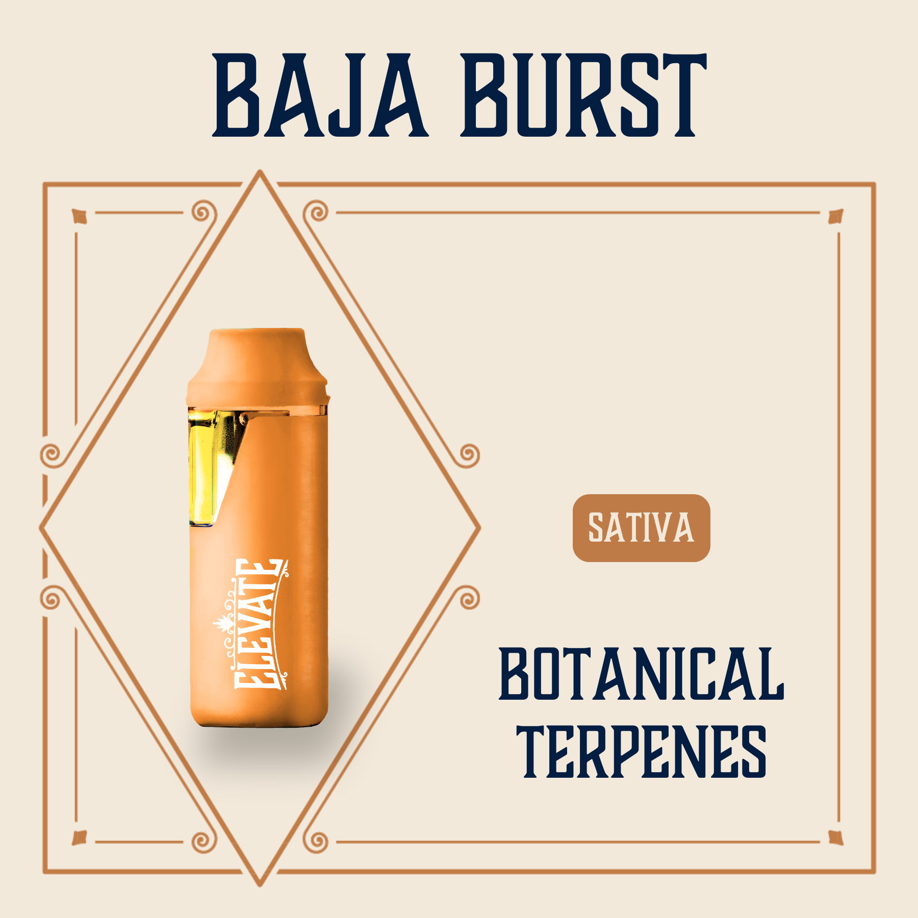 Photograph of product: Baja Burst Botanical Min-E-Bar | 1g