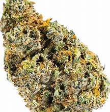 Photograph of product: Propaganda | Galactic Crunch | Bulk Flower - 7g