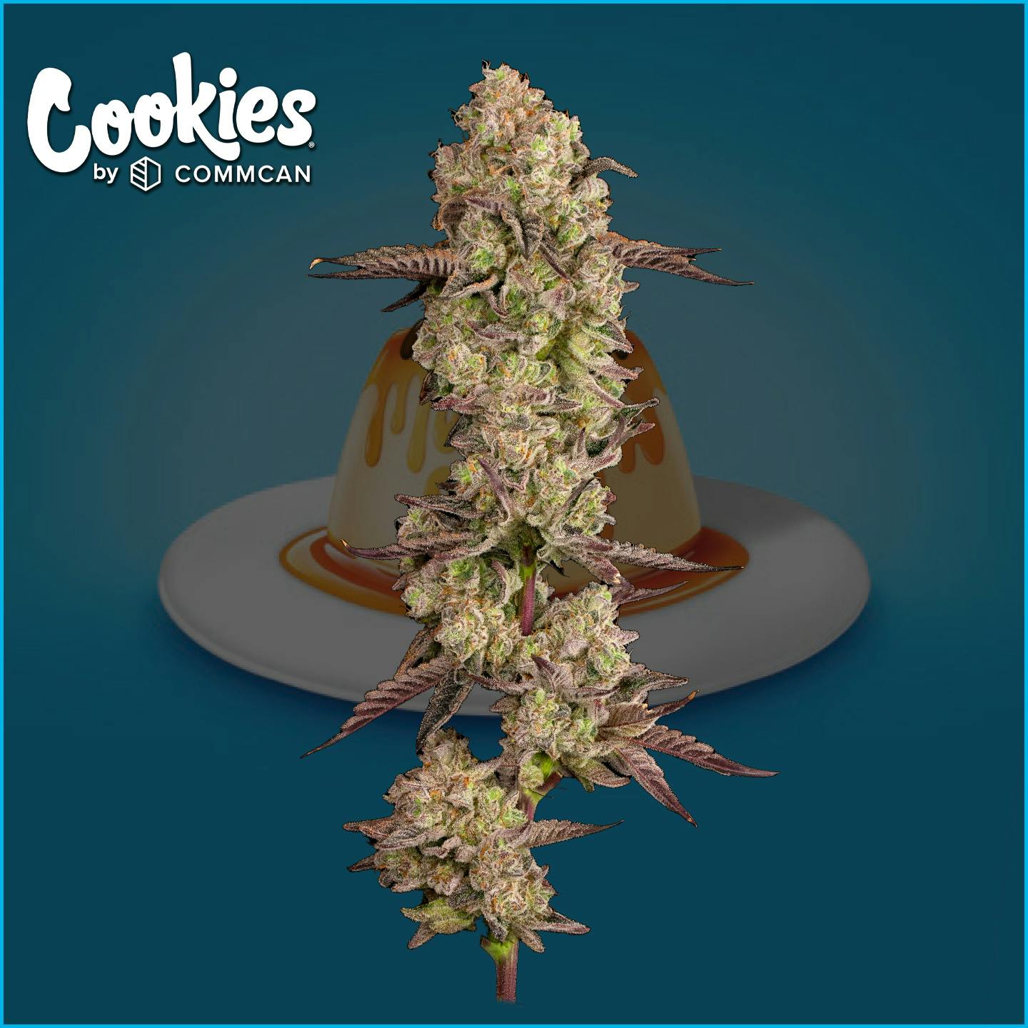 Photograph of product: Mexican Flan