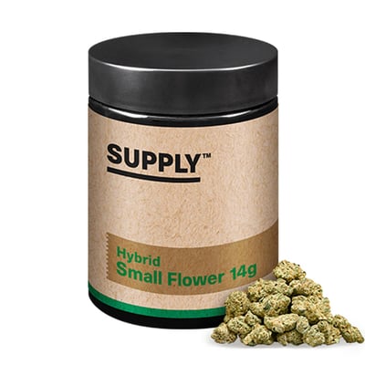 Photograph of product: Supply Red Delicious (H) Small Flower 14g