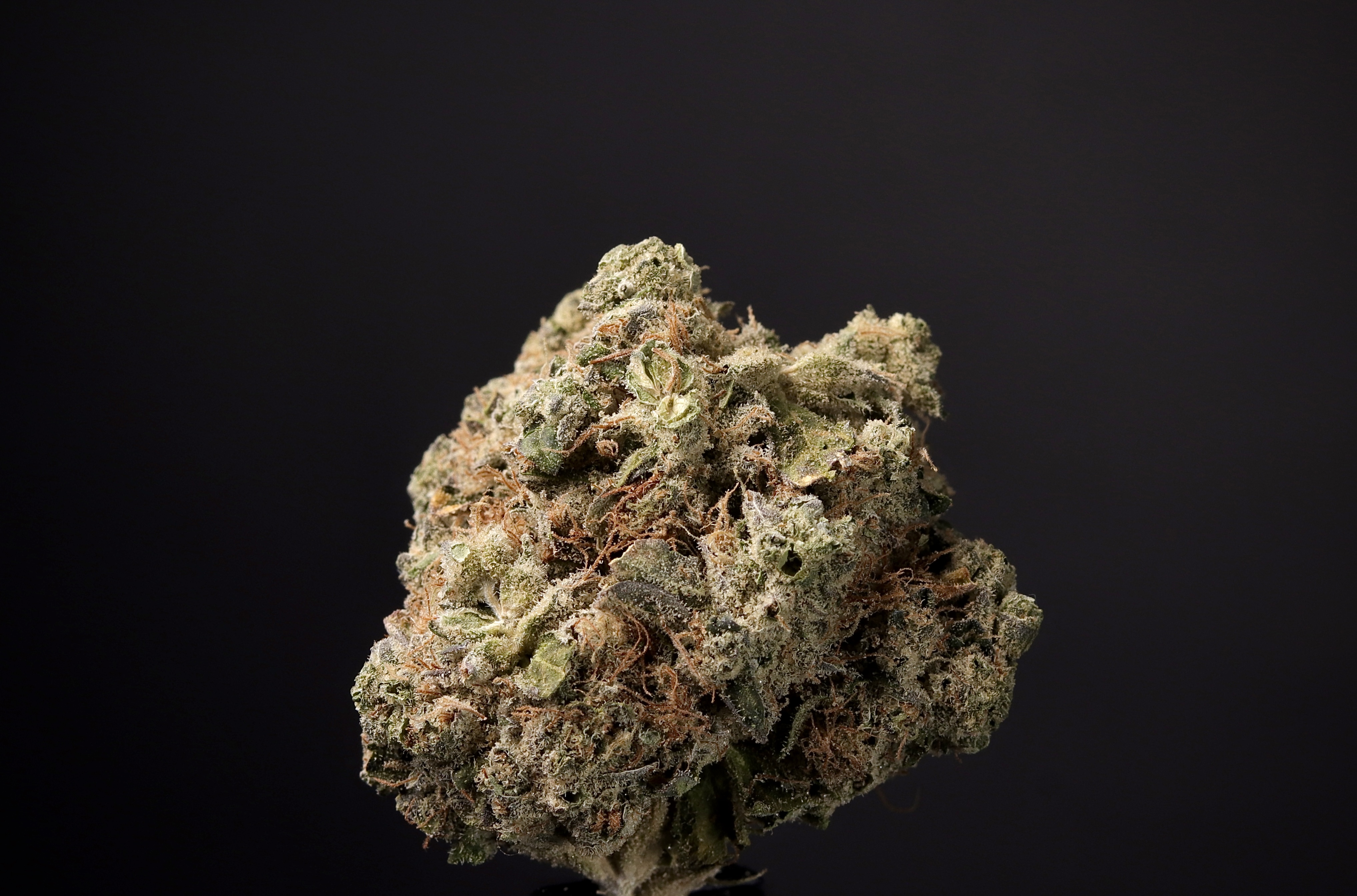 Photograph of product: Space Center - Landrace Oui'd Co. - 28g