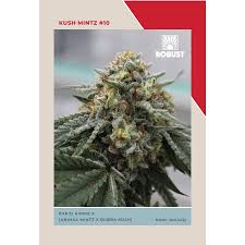 Photograph of product: Kush Mints #10 | 3.5g