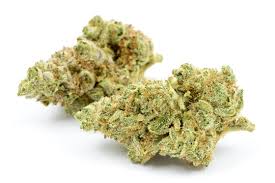 Photograph of product: Molecular Farms | Dream Wreck | Oui'd Bulk Flower - 28g