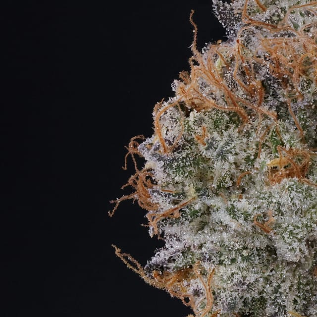 Photograph of product: Blue Face Rainbow Belts | 3.5g - 