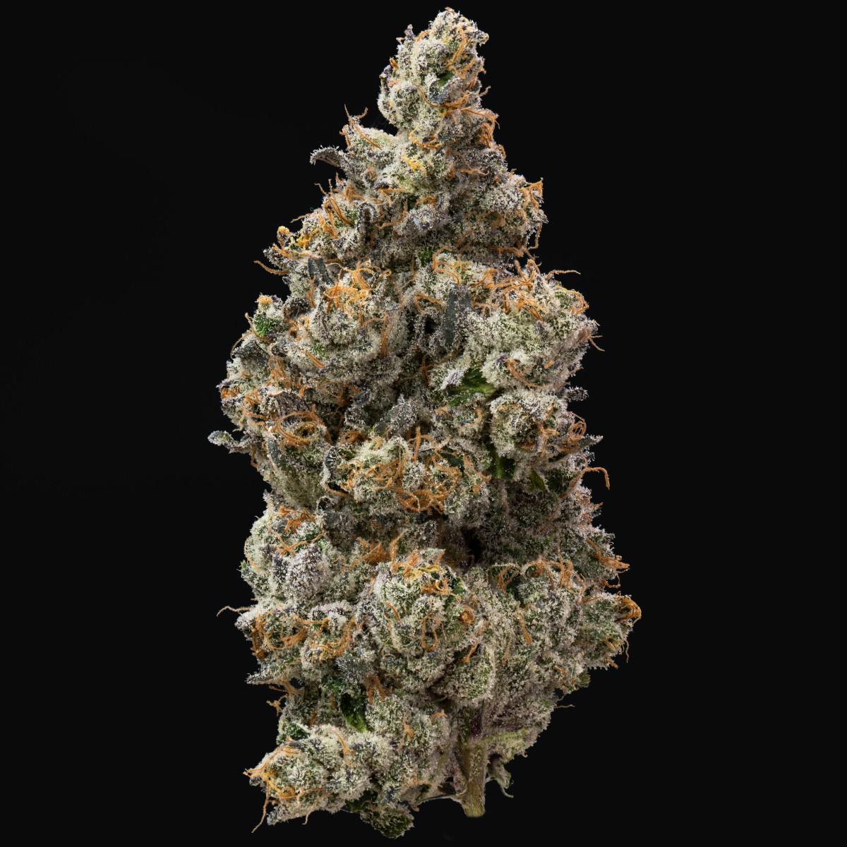 Photograph of product: Impressed | Bananaconda 3.5g Flower