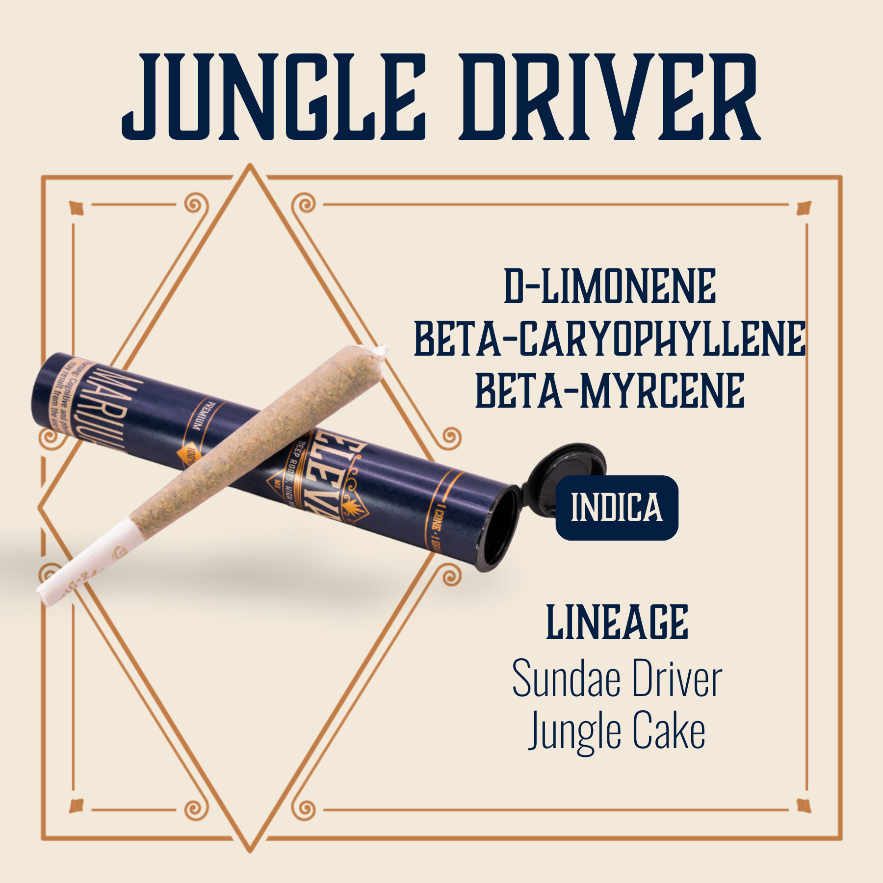 Photograph of product: Jungle Driver Pre-Roll | 1g