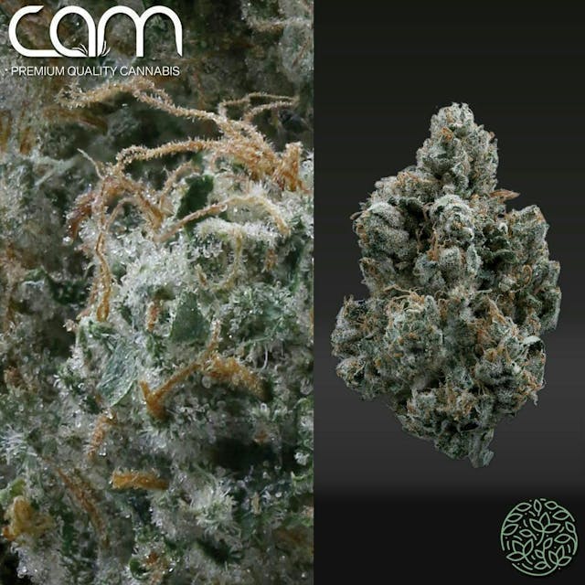 Photograph of product: 92 OG | 3.5g Flower