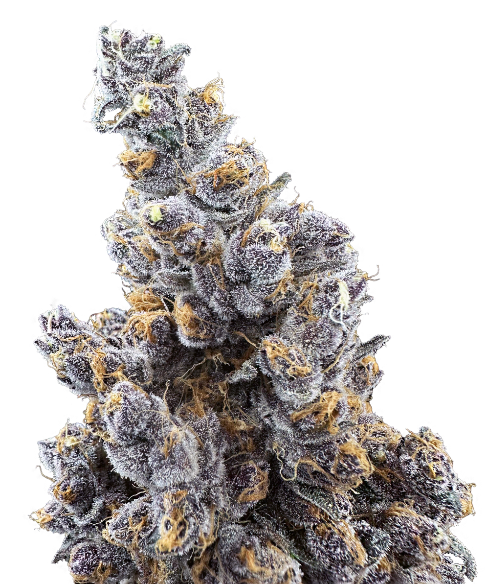 Photograph of product: Super Boof | 3.5g | Trifecta Farms