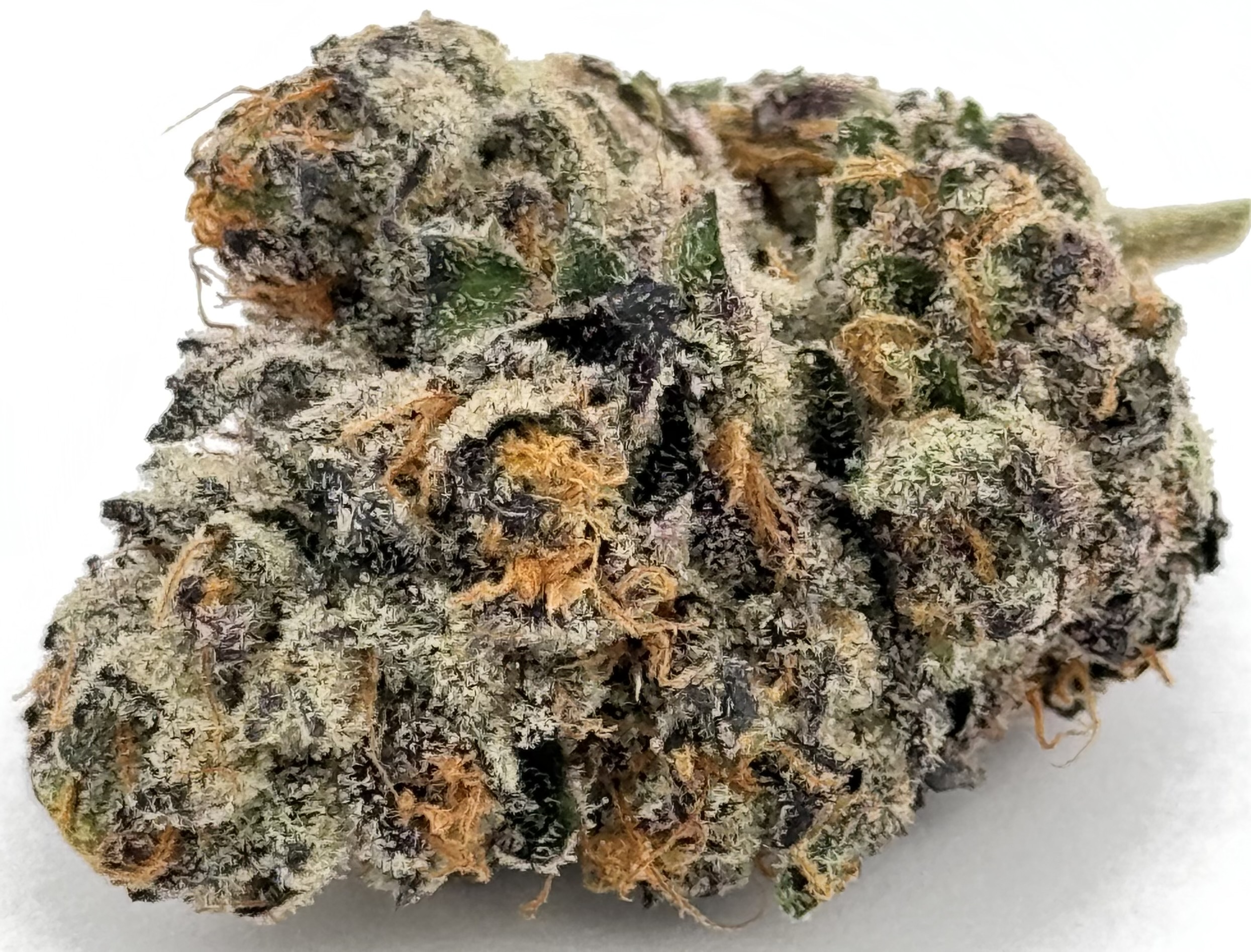 Photograph of product: Ayo: Flower | Jokerz #31 | 3.5g