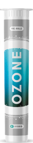 Photograph of product: Pre-Roll Mandarin Z [3pk] | 1.5g