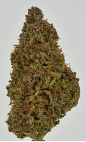 Photograph of product: Alter Farms | Hindu Dakini - 28g