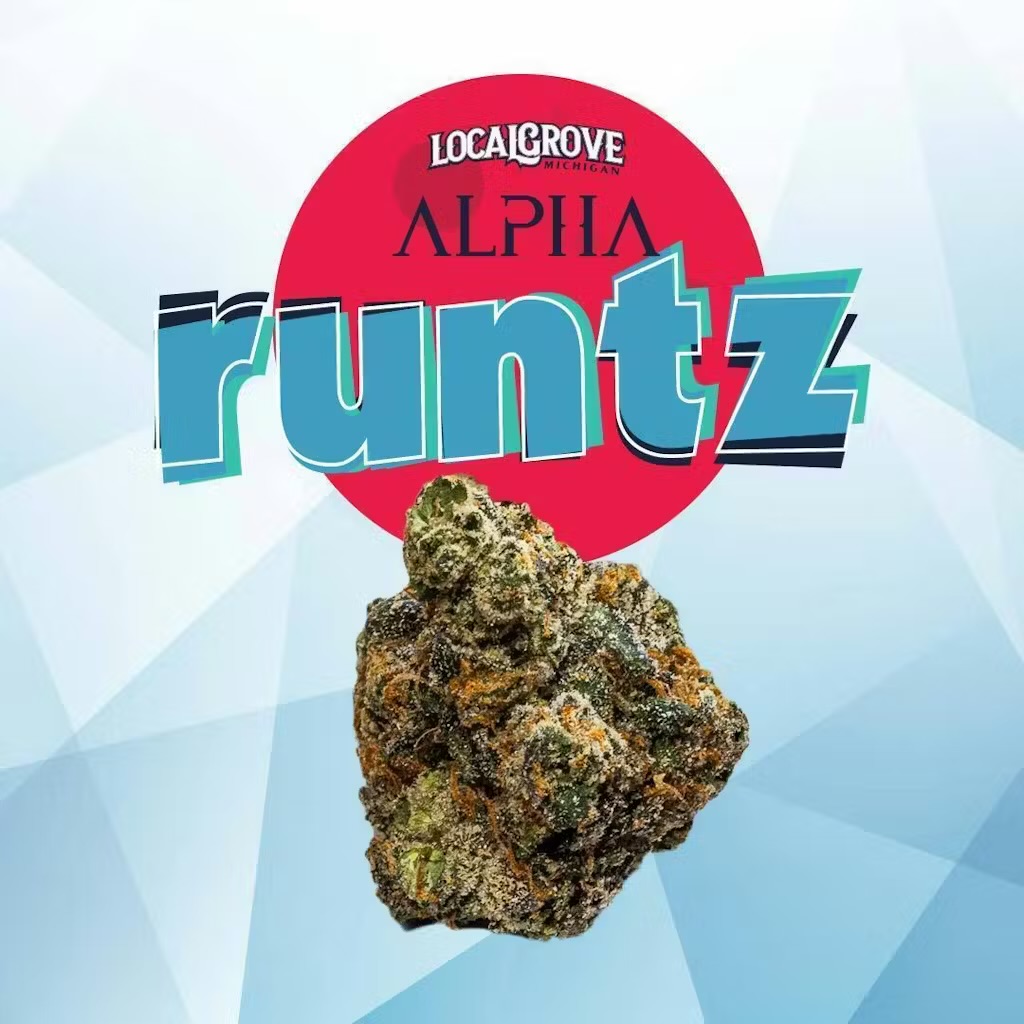 Photograph of product: (A) Local Grove: Alpha Runtz (H) - 28g
