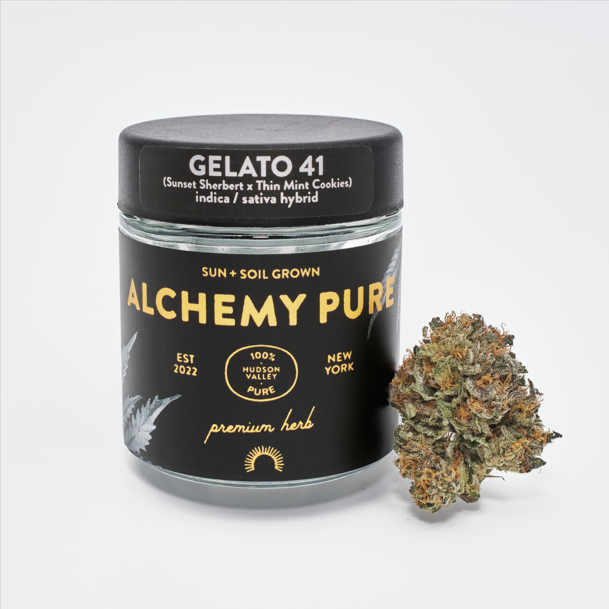 Photograph of product: Alchemy Pure | Gelato 41 - 3.5g