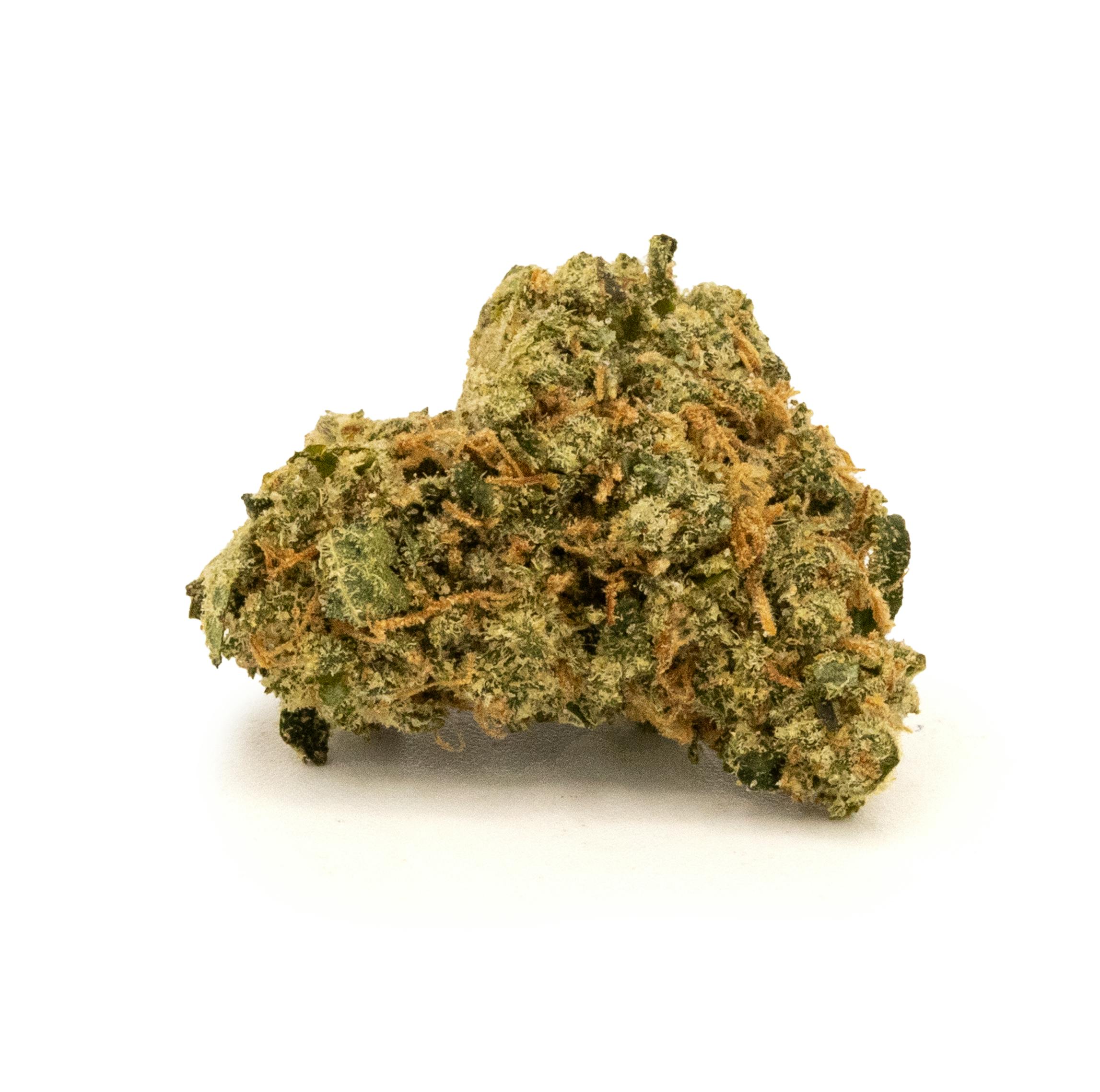 Photograph of product: CHEM-NV [14G]