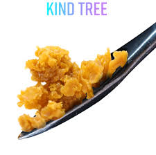 Photograph of product: Palisades Mint 1g Live Resin Badder-H