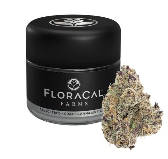 Photograph of product: FLORACAL Purple Plague 3.5g