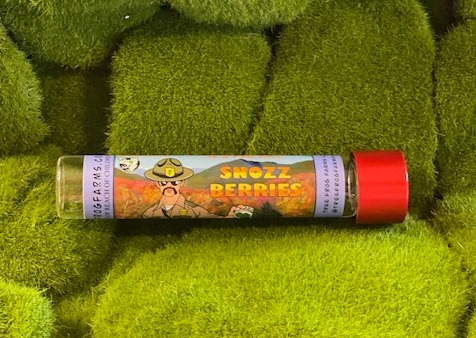 Photograph of product: au chocolat Infused Pre Roll Single | Snozz Berries | Tree Frog Farms