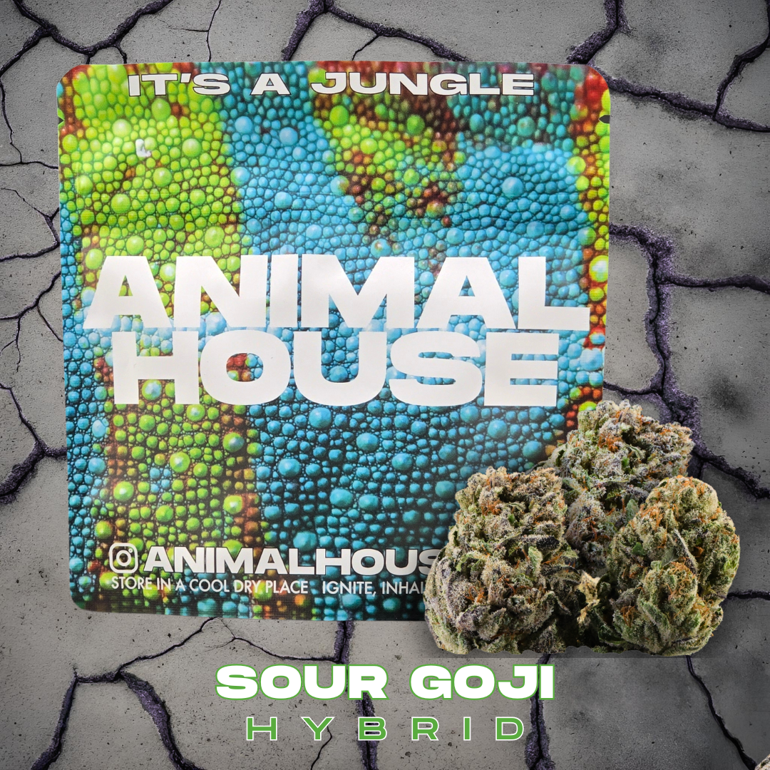 Photograph of product: Animal House | Sour Goji | 3.5g