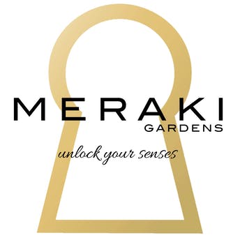 Photograph of product: Meraki - Half Pint (H) - Pre-Roll 1g