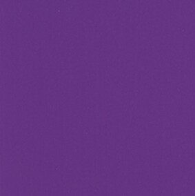 Photograph of Product: Shirt - Tamarack Whitefish $15 - Purple