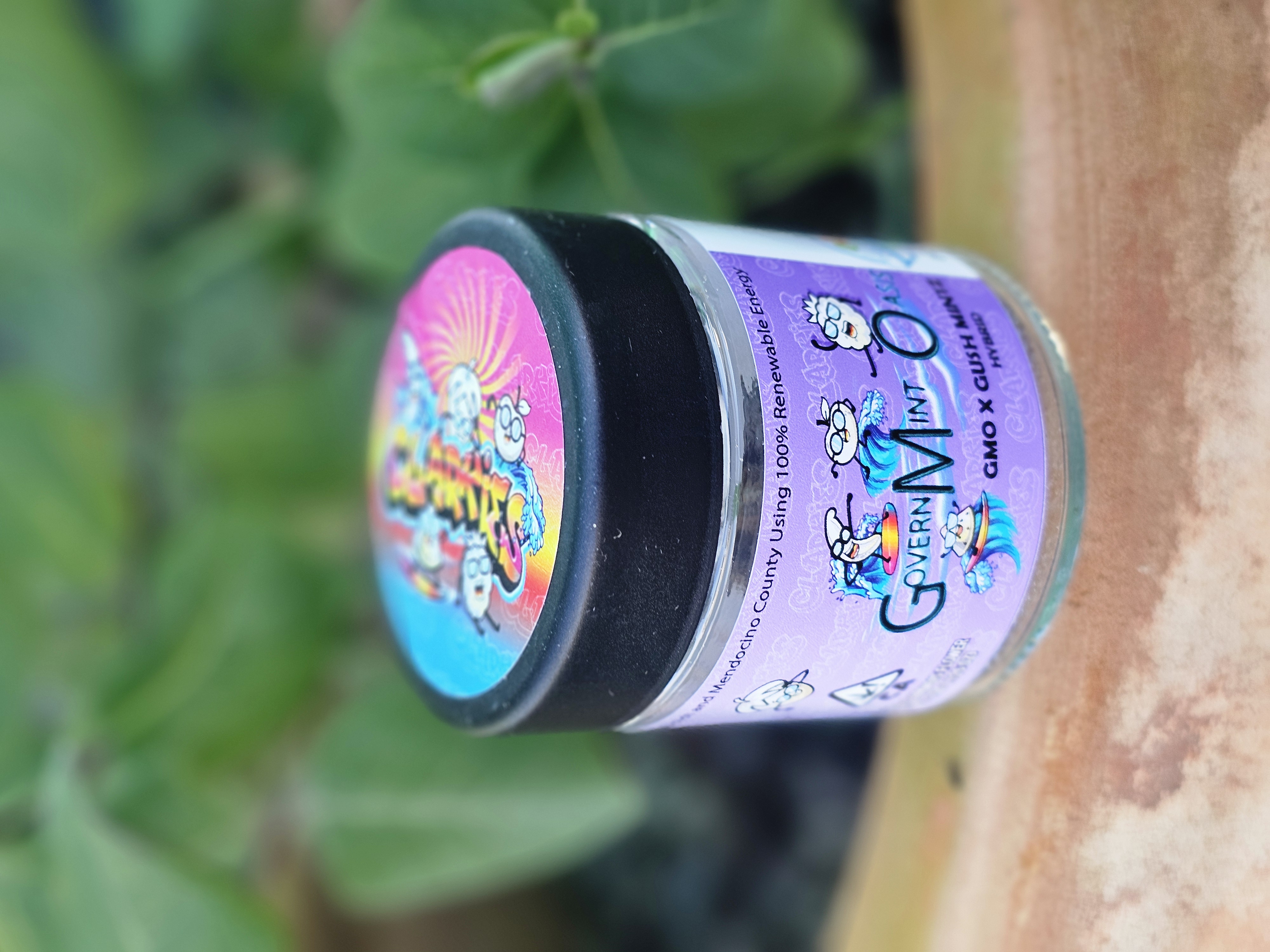 Photograph of product: GOVERNMENT OASIS