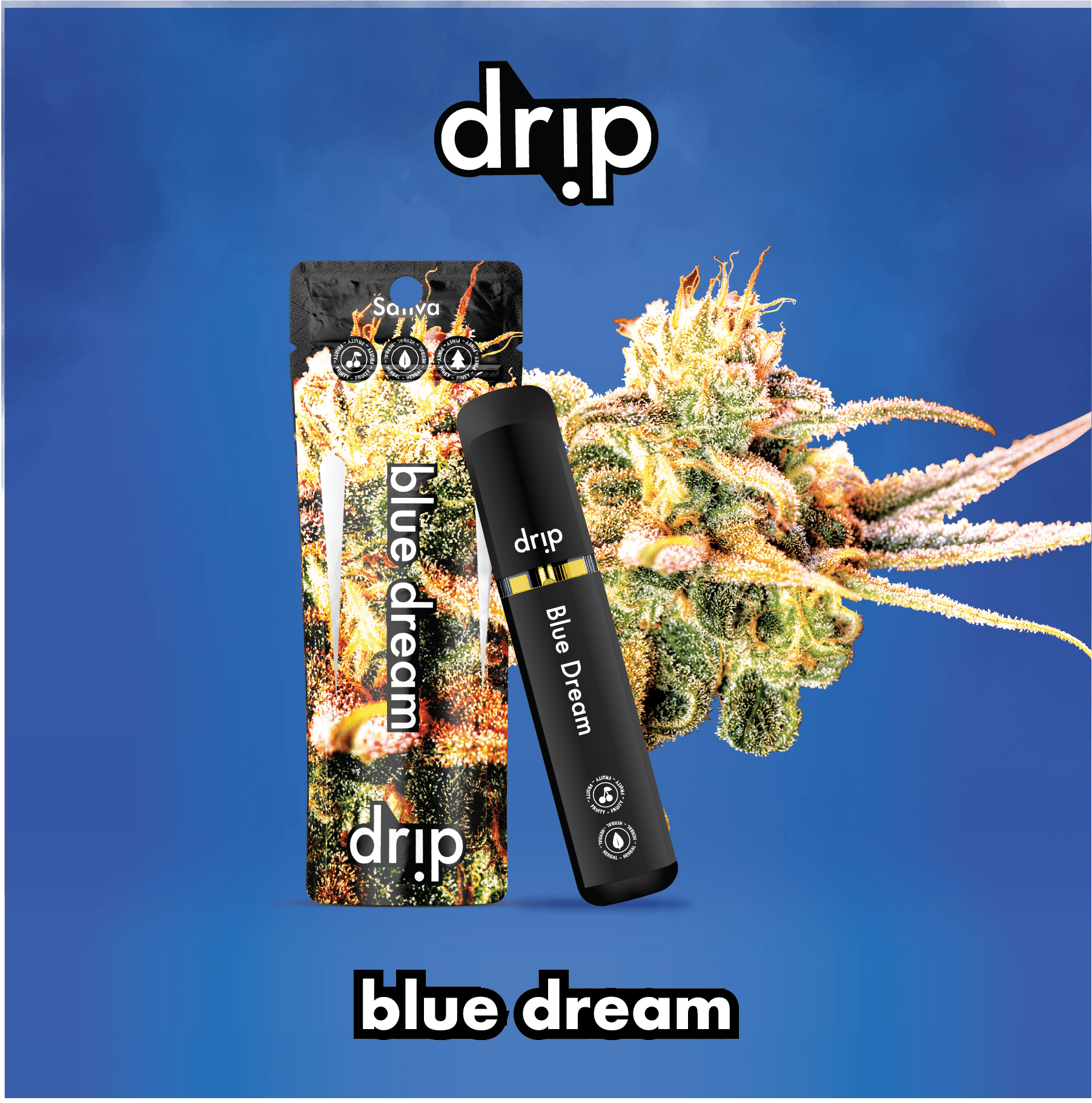 Photograph of product: Drip | Blue Dream | 2G Distillate Disposable