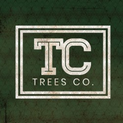 Photograph of product: So F'n Gassy (H) Trees Co. - 3.5g