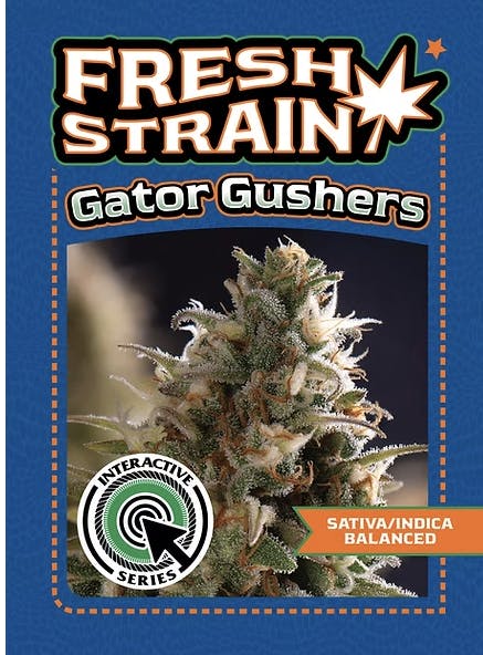 Photograph of product: Gator Gushers (Indoor Flower) - 3.5g - 