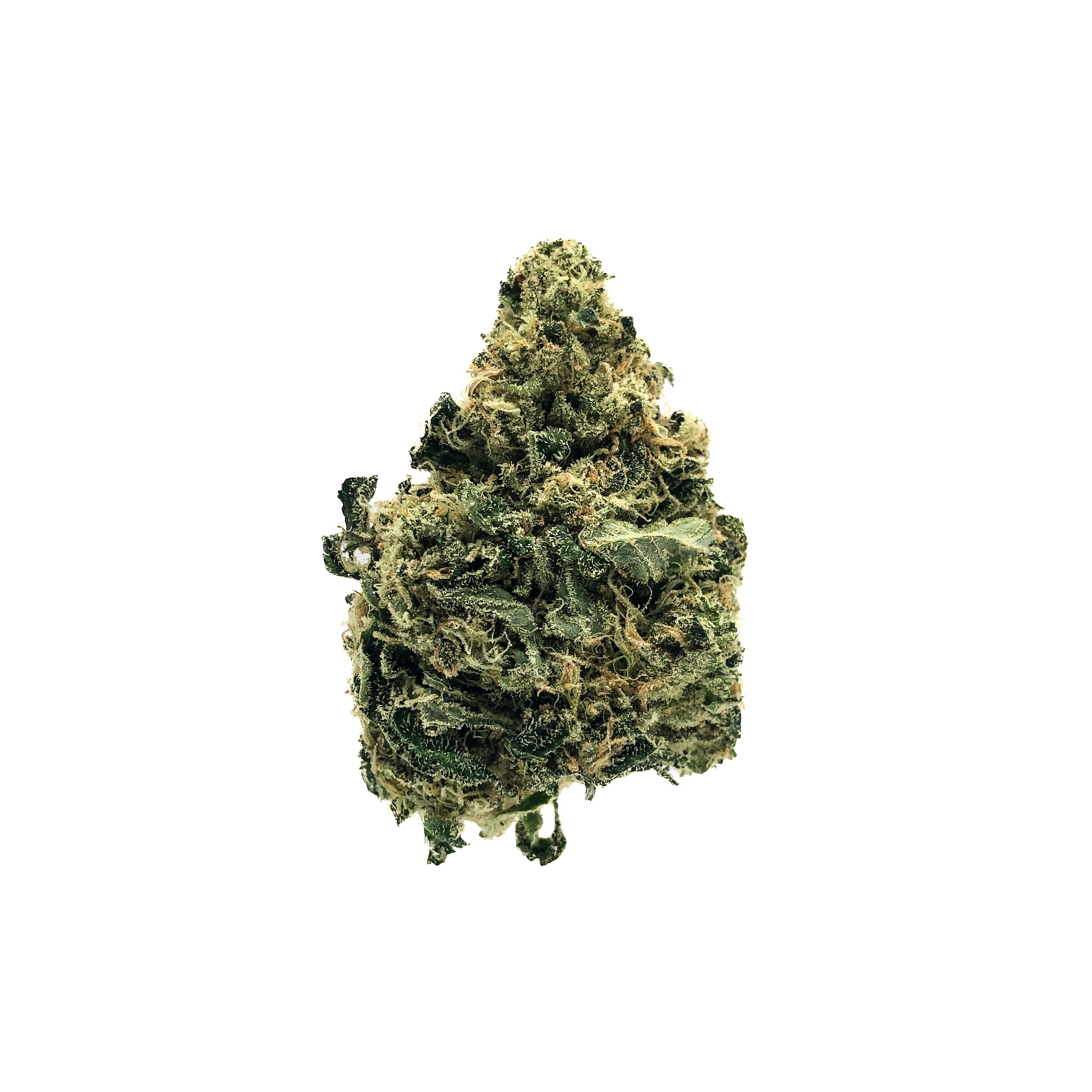 Photograph of product: Black Triangle Kush |  | Fresh Packed - 28g
