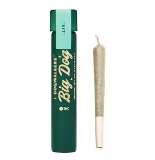 Photograph of product: East Coast Sour Diesel - Preroll  1pk (1g)