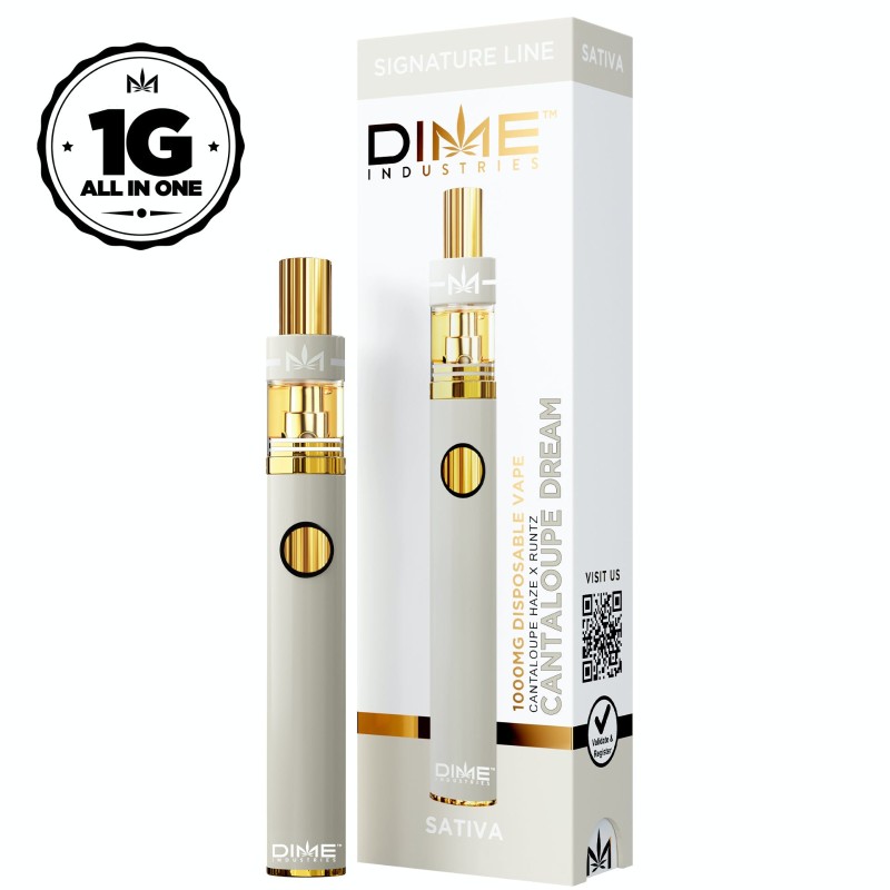 Photograph of product: Dime Ind. AIO 1g - Cantaloupe Dream (S)