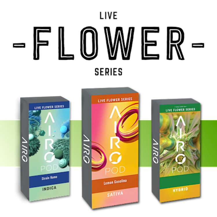 Photograph of product: Airo - Live Flower - The Sauce