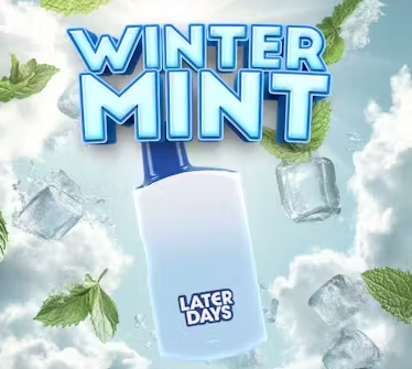 Photograph of product: Later Days Winter Mint Disposable