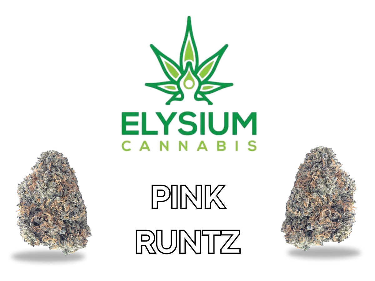 Photograph of product: ELYSIUM | PINK RUNTZ HYBRID - 3.5g