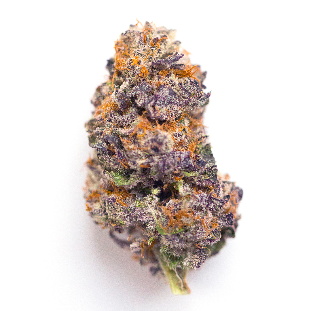 Photograph of product: MED - HF - Gelato 33 X Okie Dokie - 28g