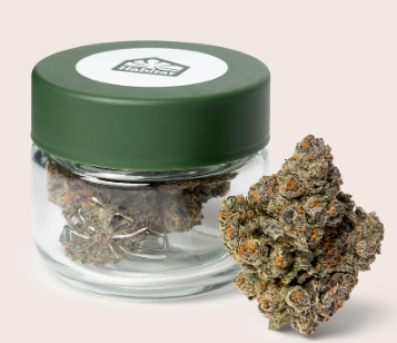 Photograph of product: CHAMPAGNE 3.5G